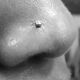 body-nostril-piercing-camp-hill-nose