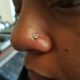 harrisburg-nose-piercing-nose-stud