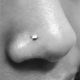 nostril-body-piercing-harrisburg-pennsylvania