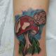 Wonderland Mushroom - Rayzor Tattoos - Harrisburg Tattoo Artist - AJ Weaver