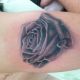 Black and Grey - Rose Tattoo - Harrisburg Tattoo Studio - Rayzor Tattoos