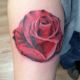 Red Rose - Rayzor Tattoos - Harrisburg Tattoo Studio - AJ Weaver - Tattoo Artist
