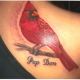 cardinal-color-tattoo-shop-hershey