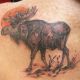 moose-color-tattoo-studio-colonial-park