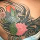 oriental-bird-color-tattoo-shop-new-cumberland