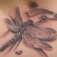 trash-polka-dragonfly-tattoo-capitol-region